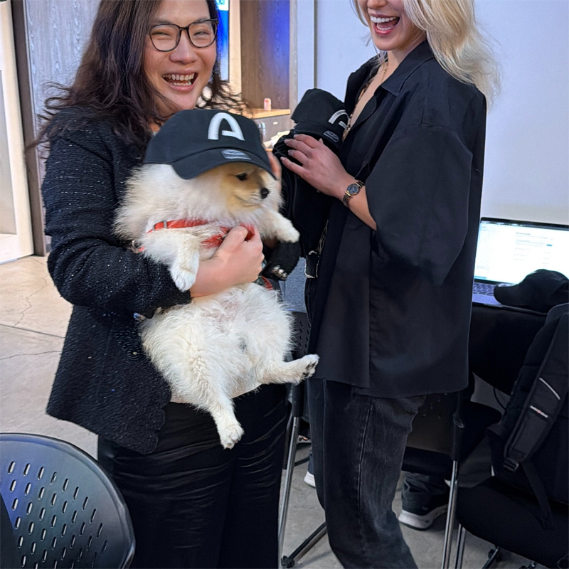 ARCDOG at the Arc Hackathon